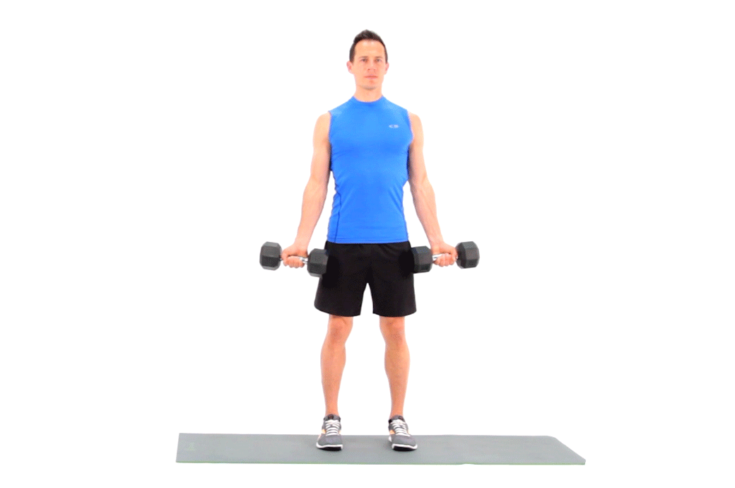 Standing dumbbell curl
