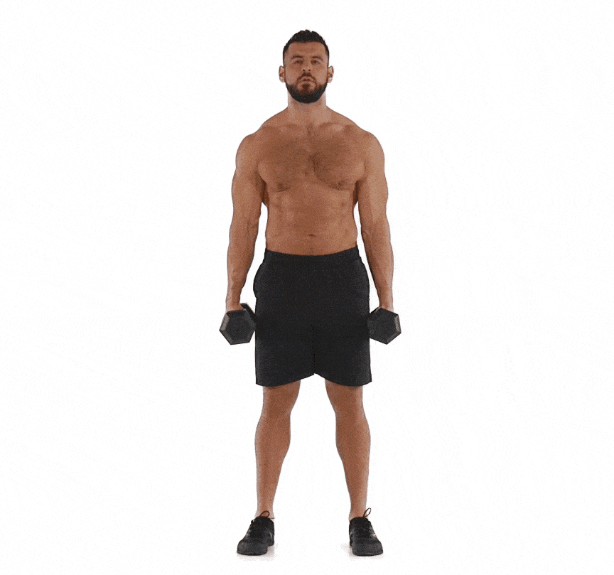 Standing dumbbell lateral raise