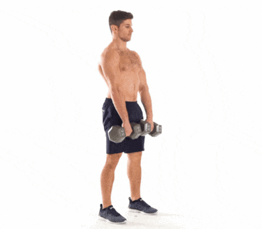 Dumbbell Romanian deadlift